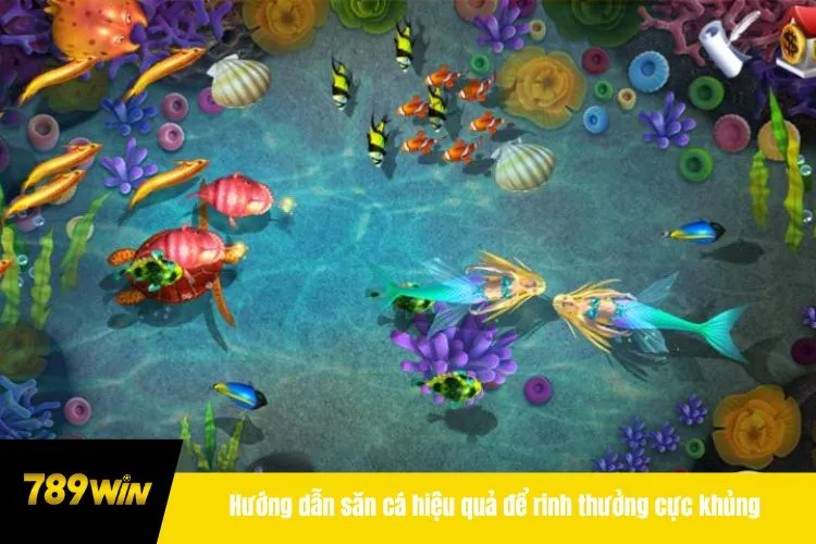 Hướng dẫn săn cá hiệu quả để rinh thưởng cực khủng tại 789WIN