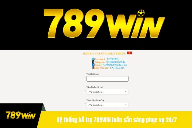 Hệ thống hỗ trợ 789WIN luôn sẵn sàng phục vụ 24/7