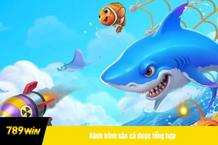 Hành trình săn cá được tổng hợp